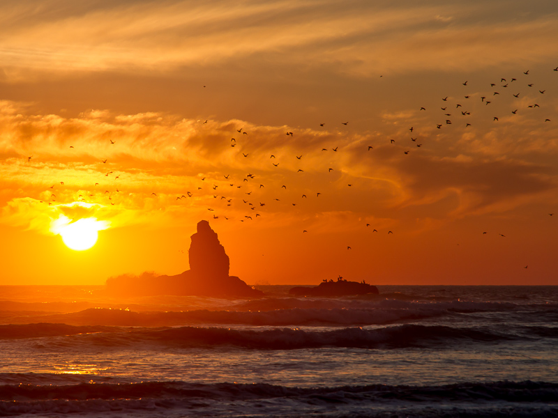 Earth, Sea & Sky